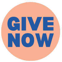 Give now donation button peach